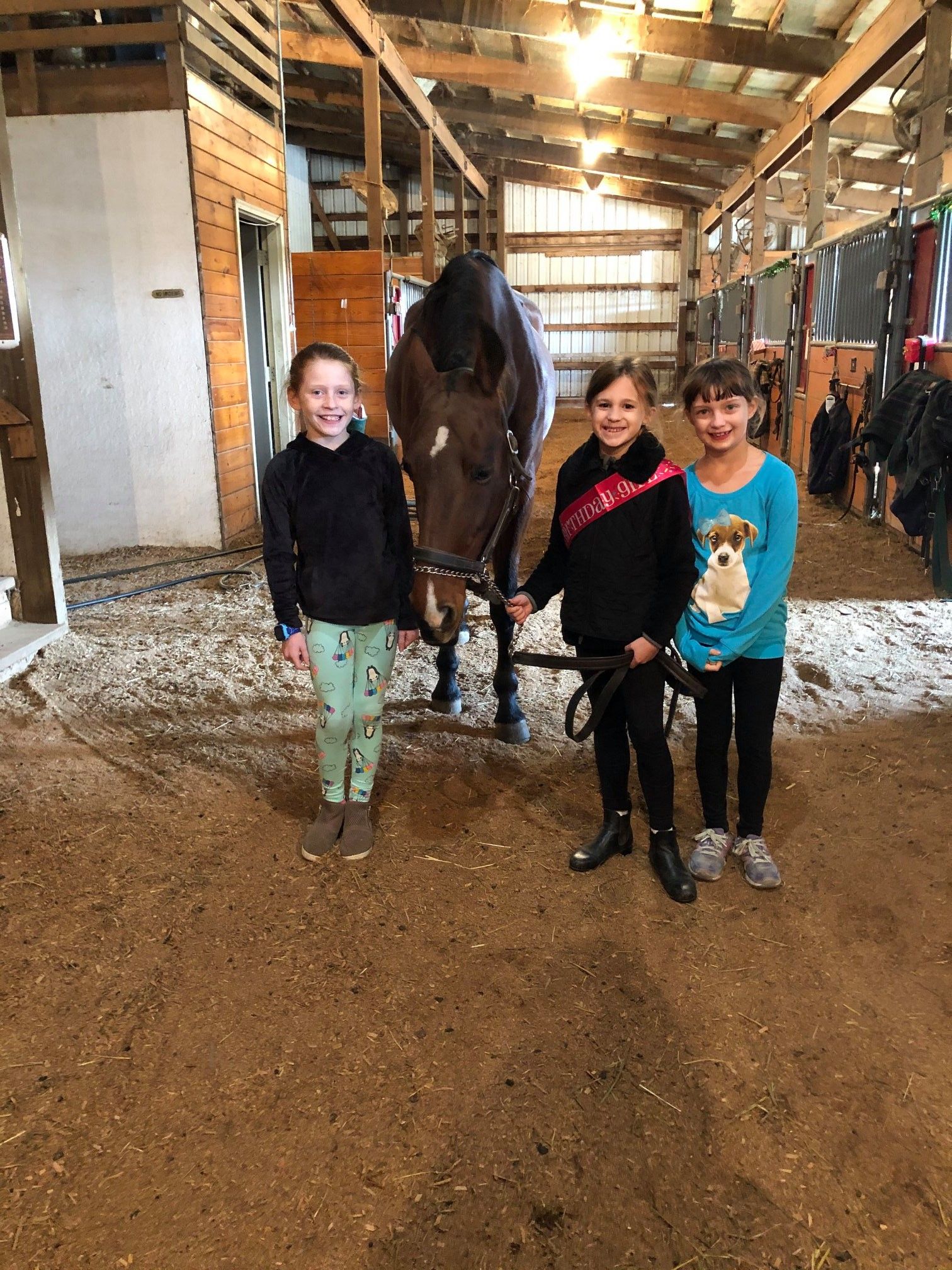 Children with a horse in the barn at Four Willows Farm